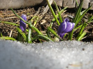 194436_10150206478217959_564817958_8479466_5026697_o