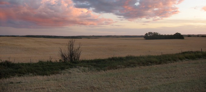 No more mountain! Thank you for your prayers!