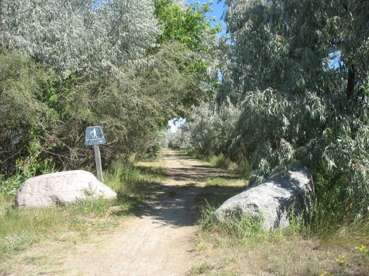 Where will this journey take us?