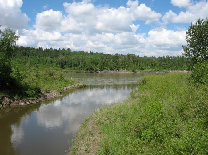 The confluence of Whitemud Creek and the North Saskatchewan River