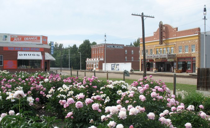 1920 Street with the peony garden in the foreground