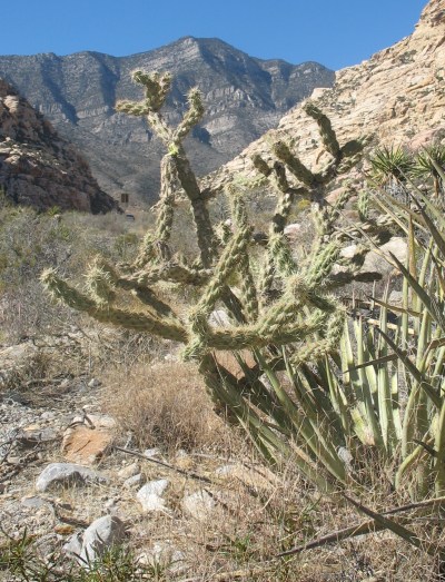 IMG_4541 - Version 2