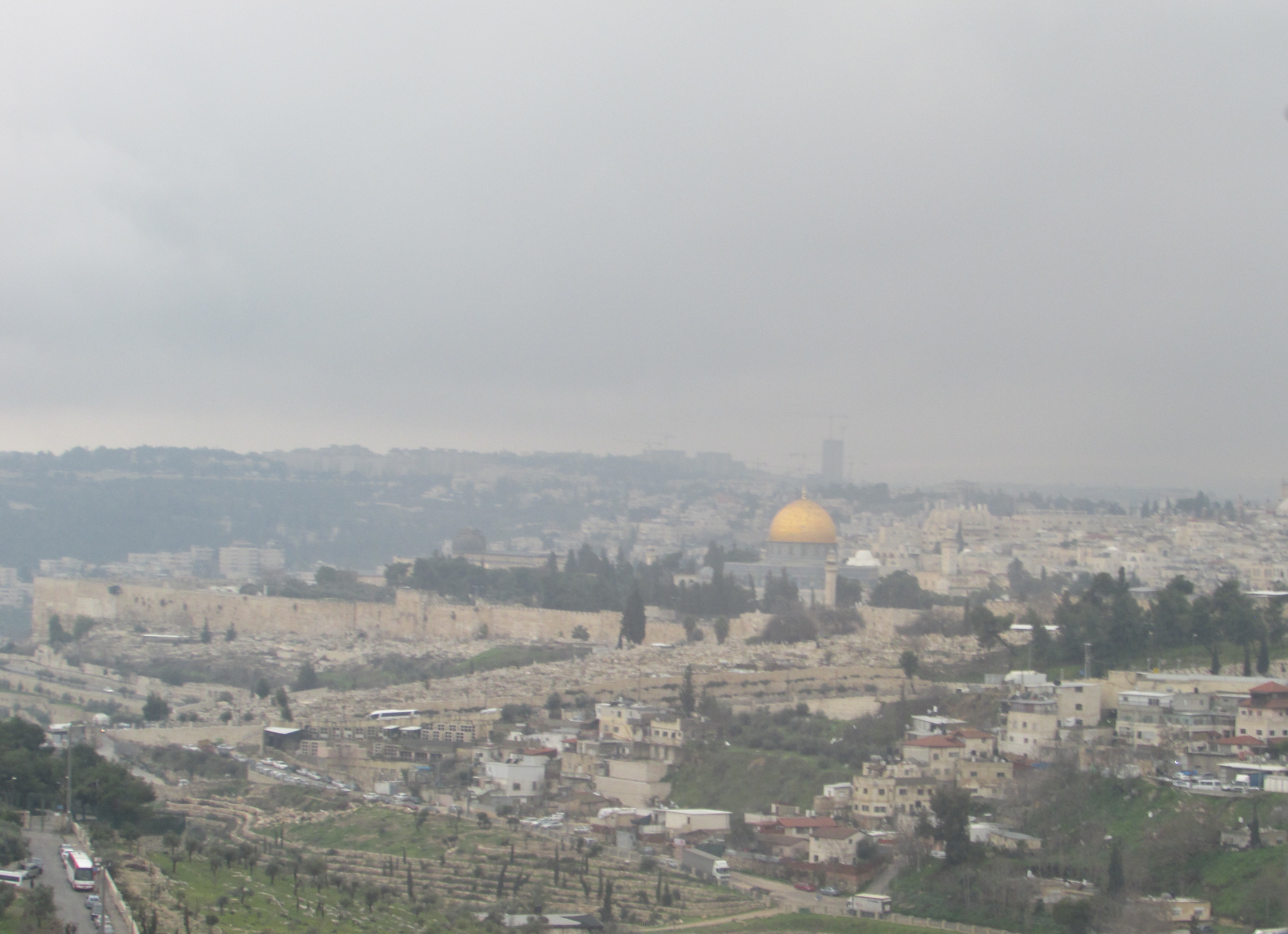 IMG_0719 - Version 2