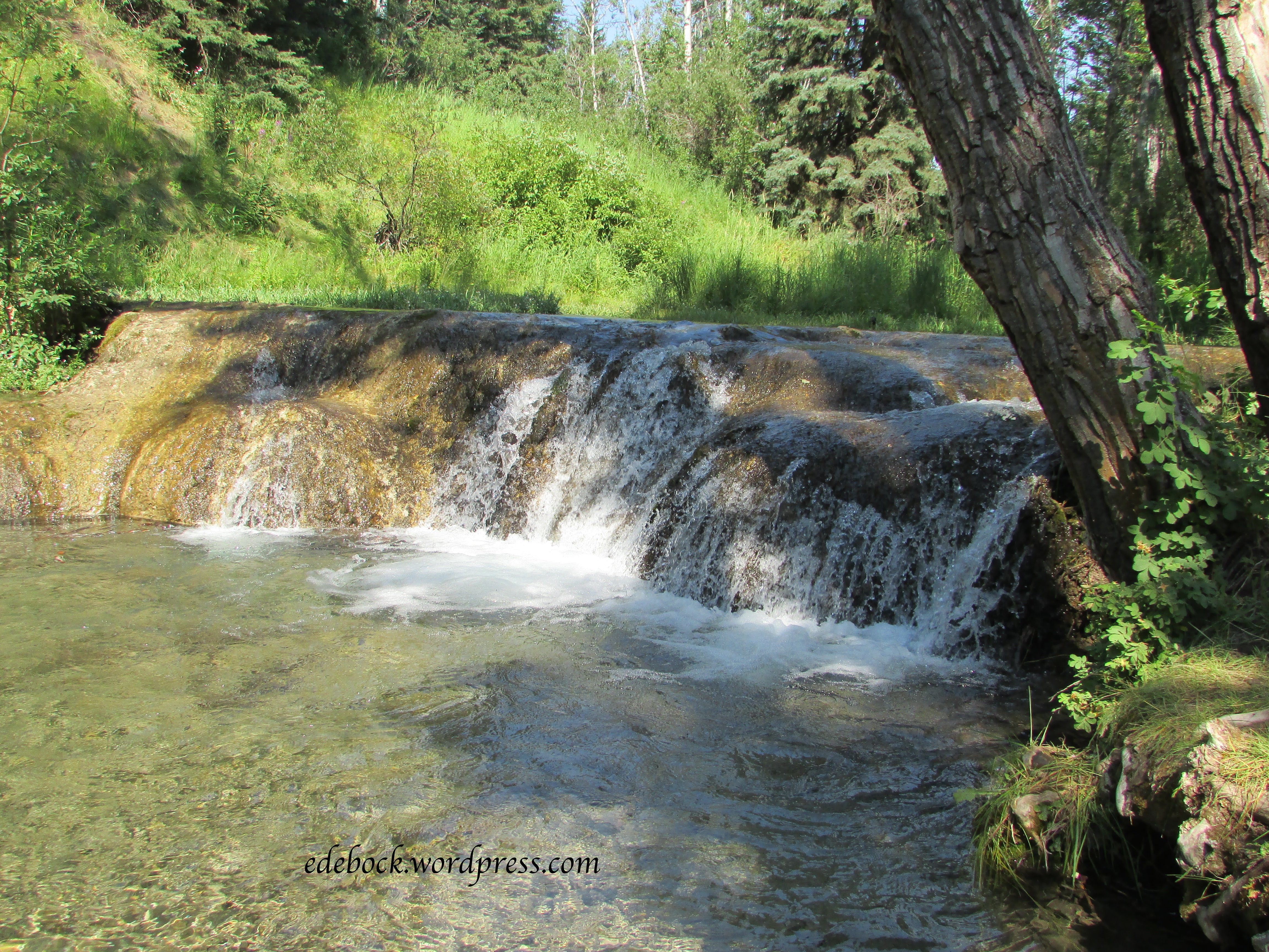 IMG_5001