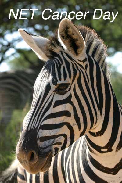 Net Cancer Day