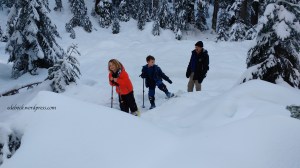 snowshoeing on Mount Seymour