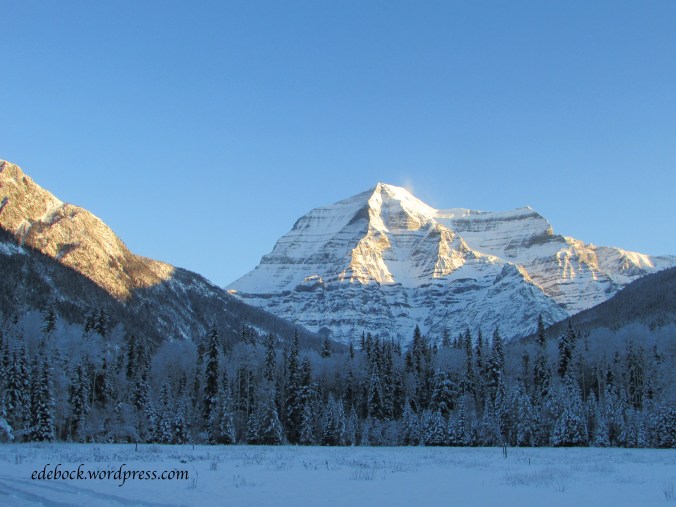 Mount Robson in early morning light