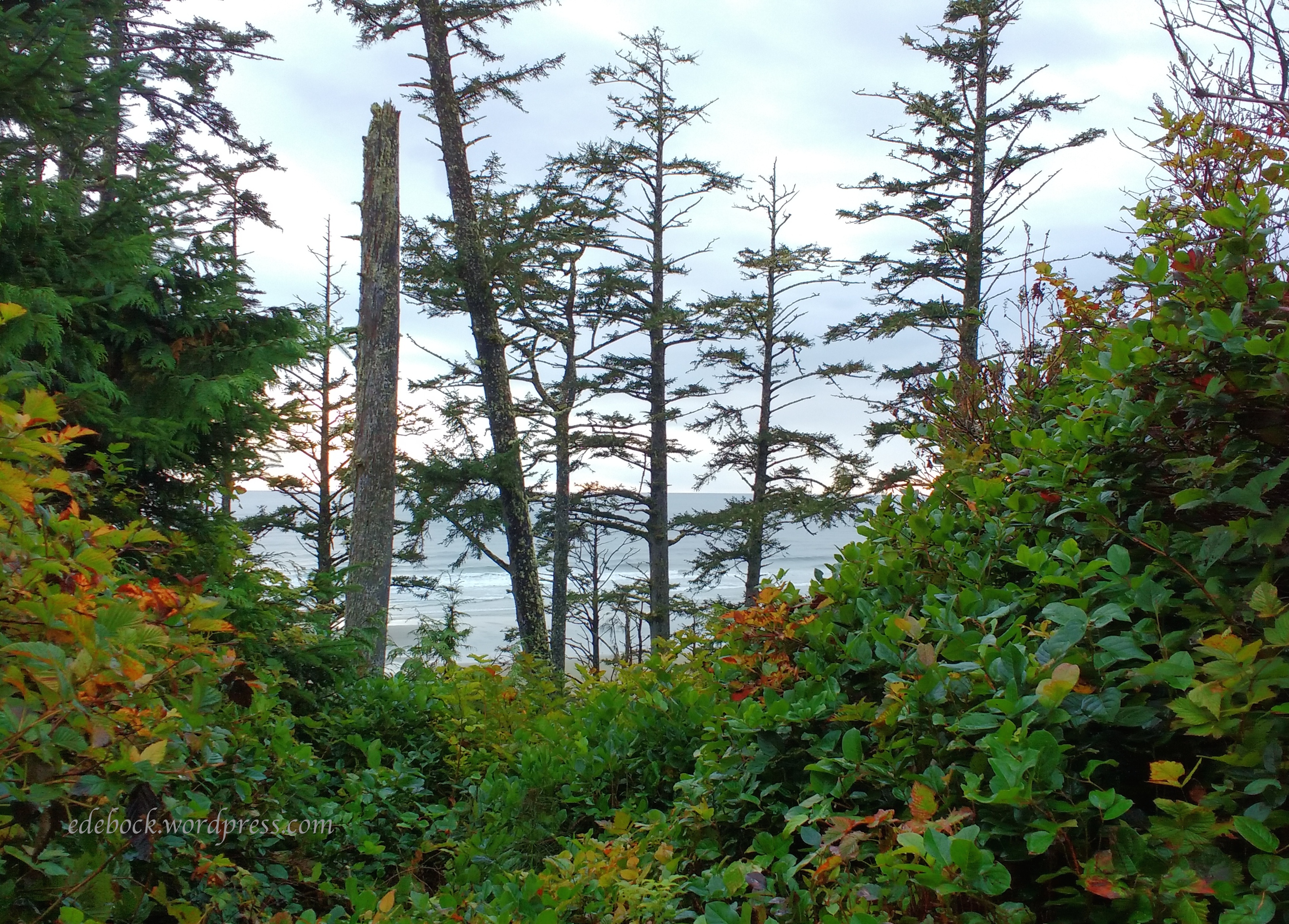 IMG_20181005_174247844