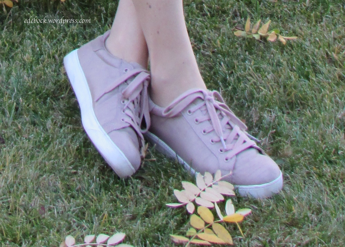 IMG_6481 - Version 2