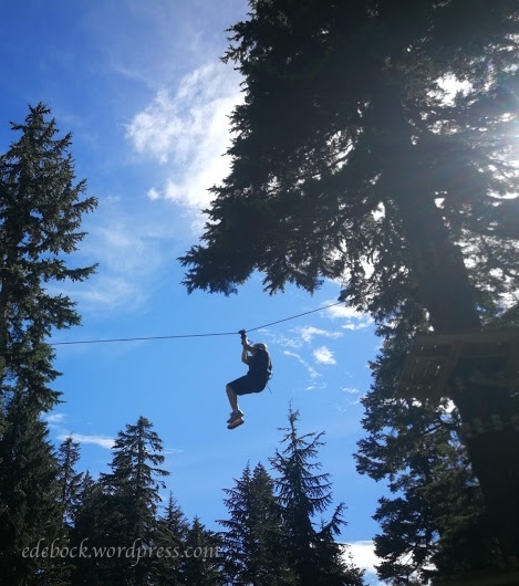 zipline