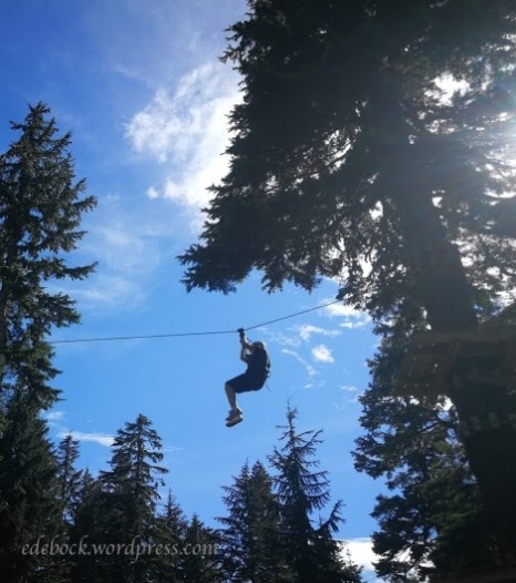zipline