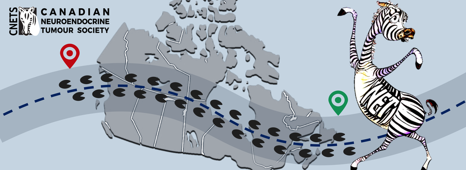 Screen Shot 2020-06-26 at 8.57.55 AM