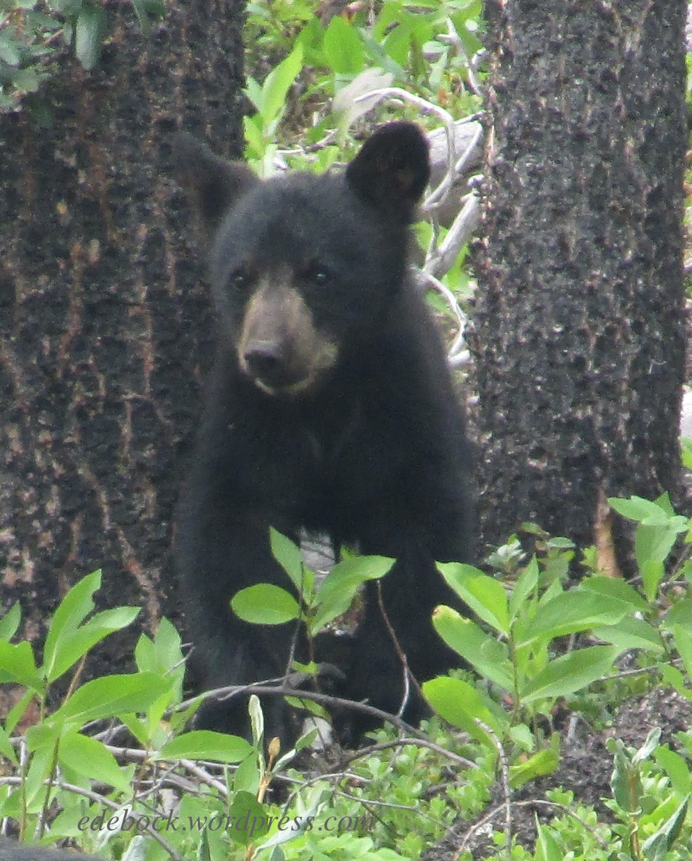 IMG_2696 - Version 2