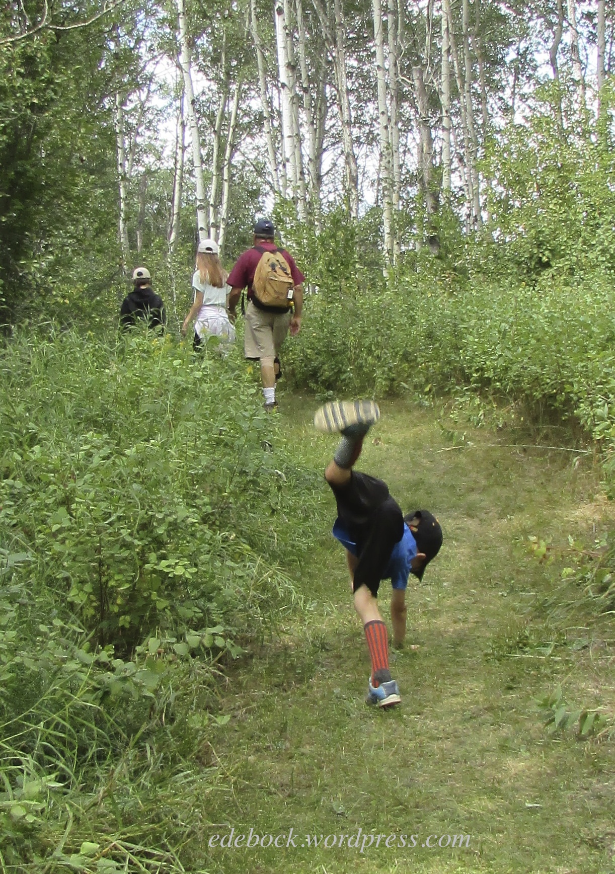 IMG_2926 - Version 2