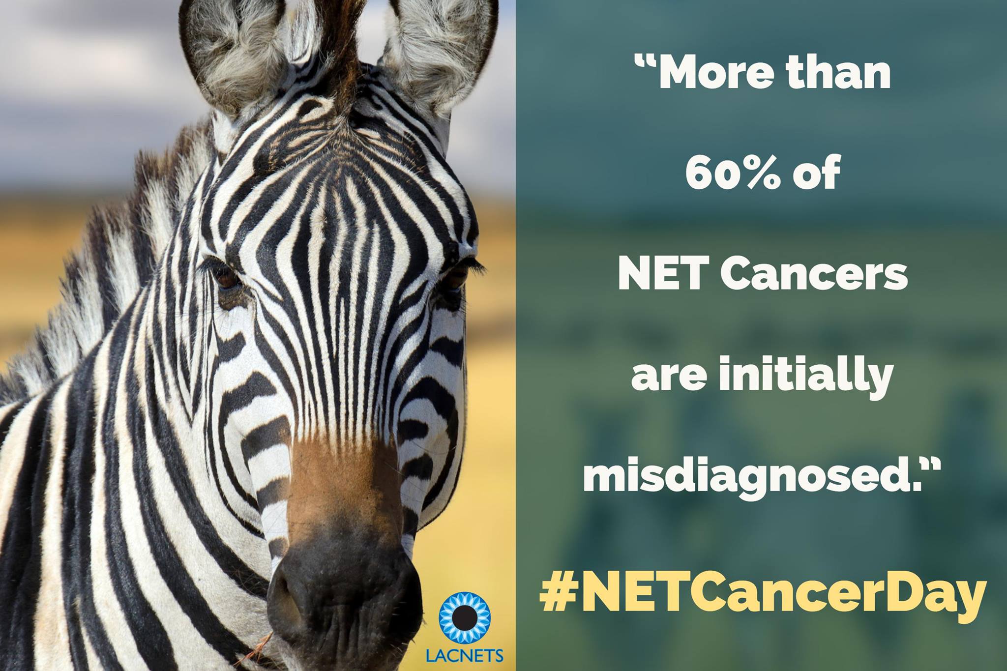 23213264_715559725308228_7678779028864335896_o