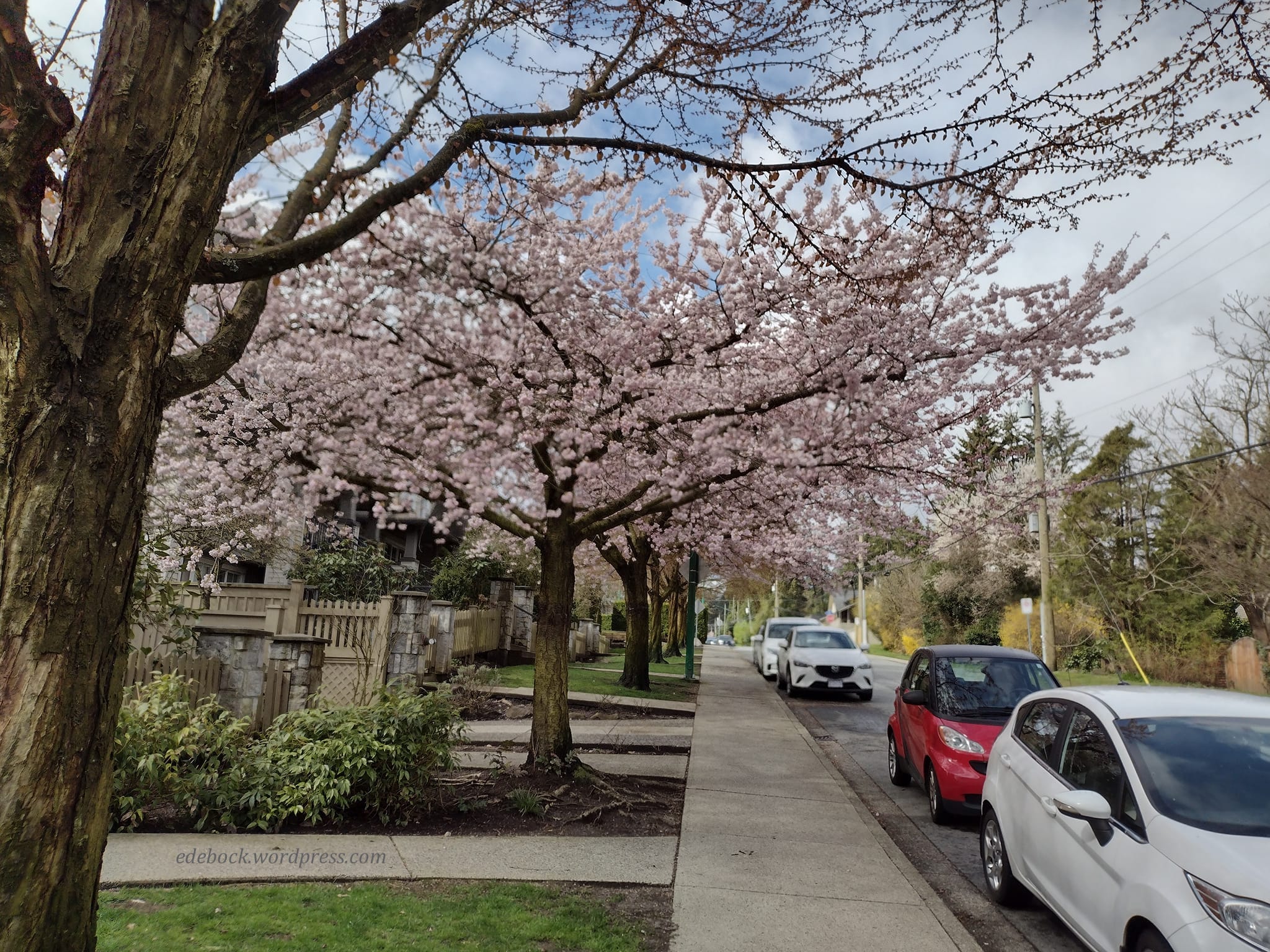 277572490_10159649976405915_7018905728953021841_n