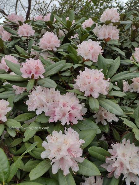 277579516_10159649995305915_741463671610771280_n