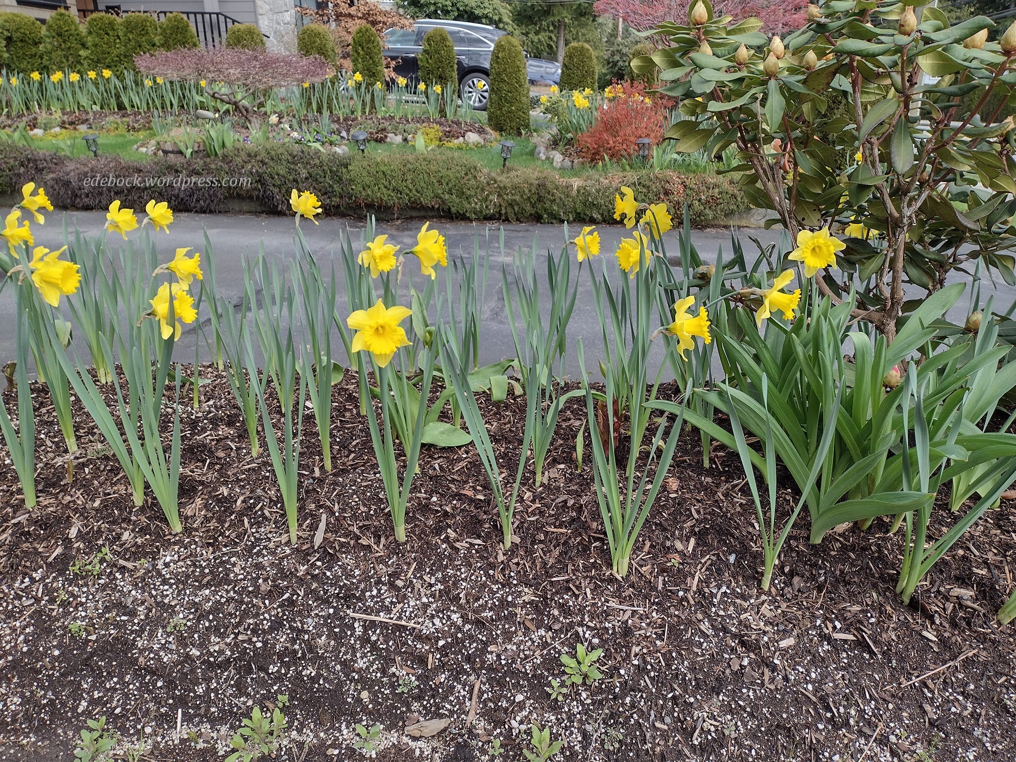 277780982_10159649976315915_2193511163792426864_n