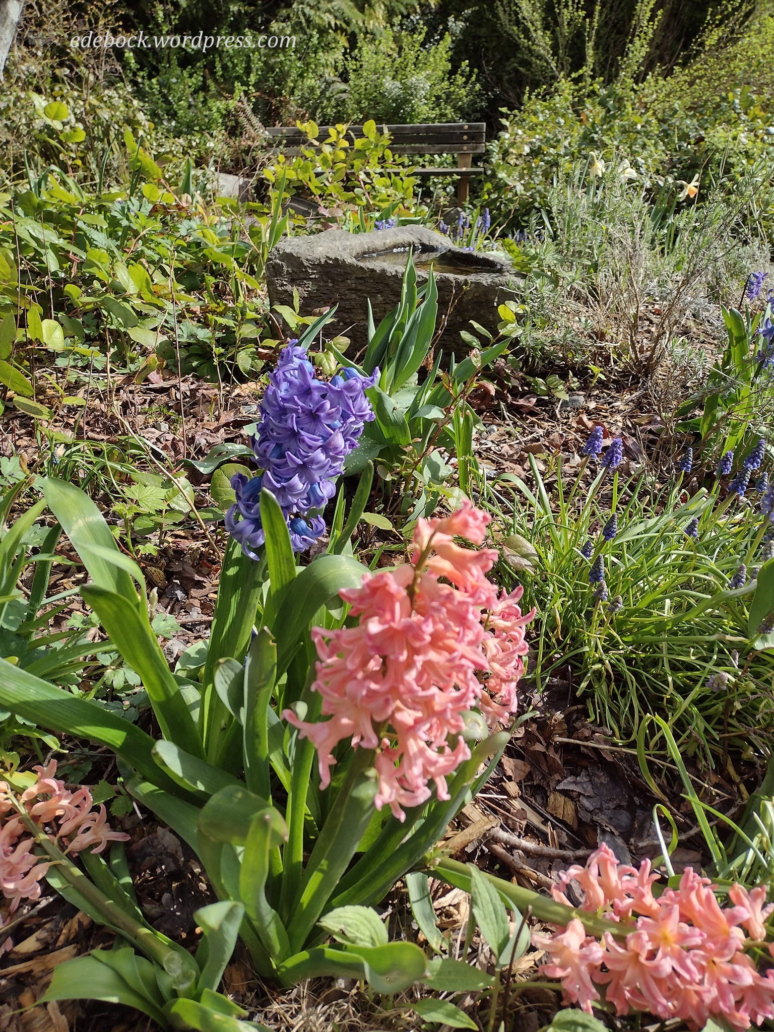 277806123_10159649976140915_7416136951240551014_n