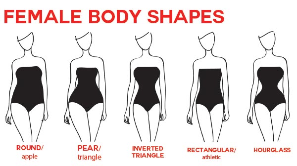 female_bodytypes