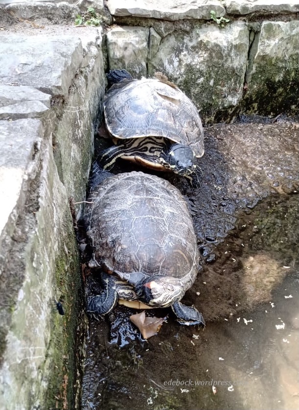 330930255_1037080877136128_6051597872879838923_n