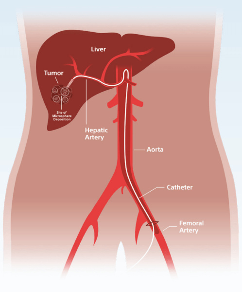 Screenshot 2024-02-04 at 2.54.31 PM