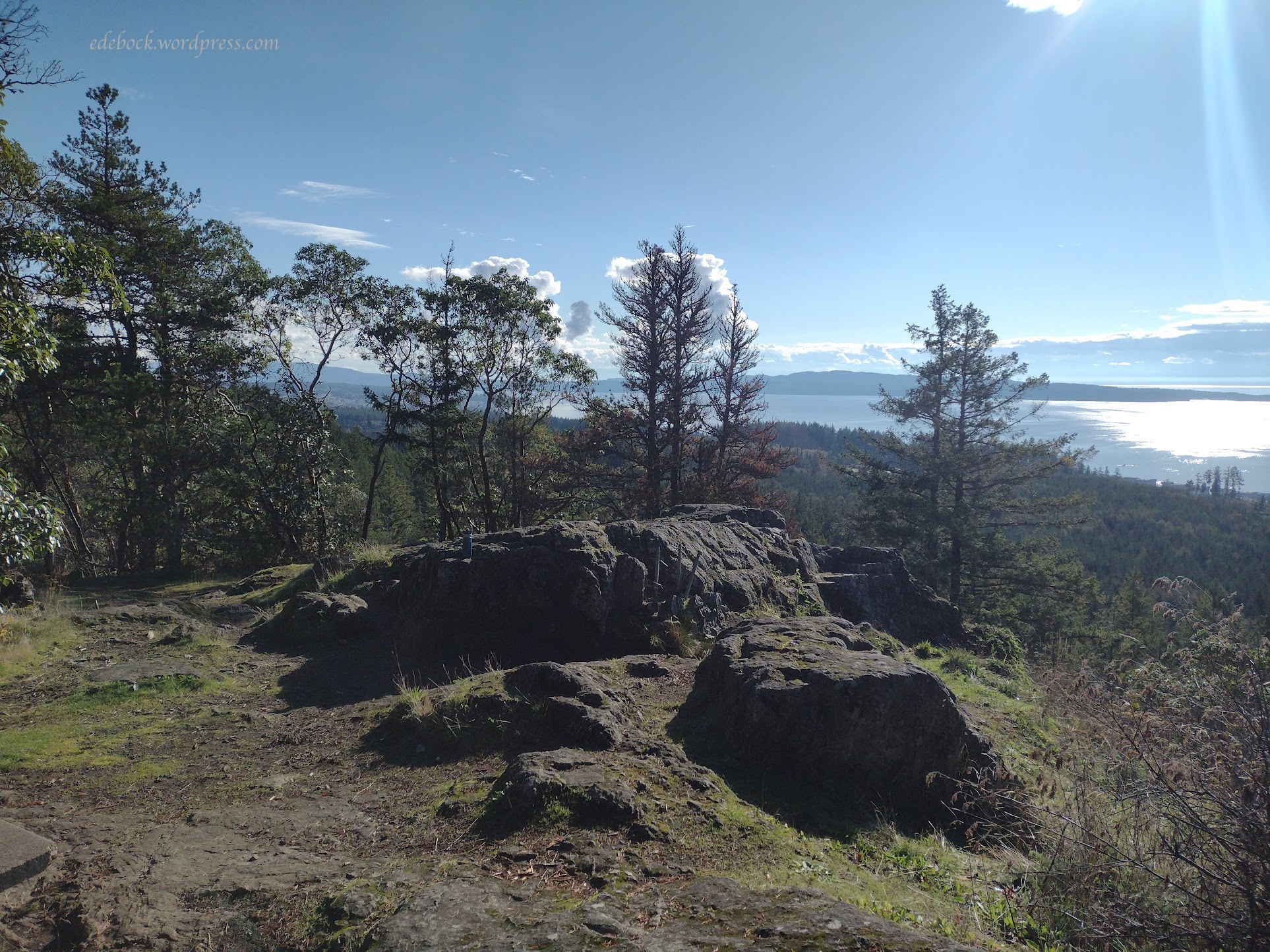 IMG_20241023_145158711_BURST000_COVER