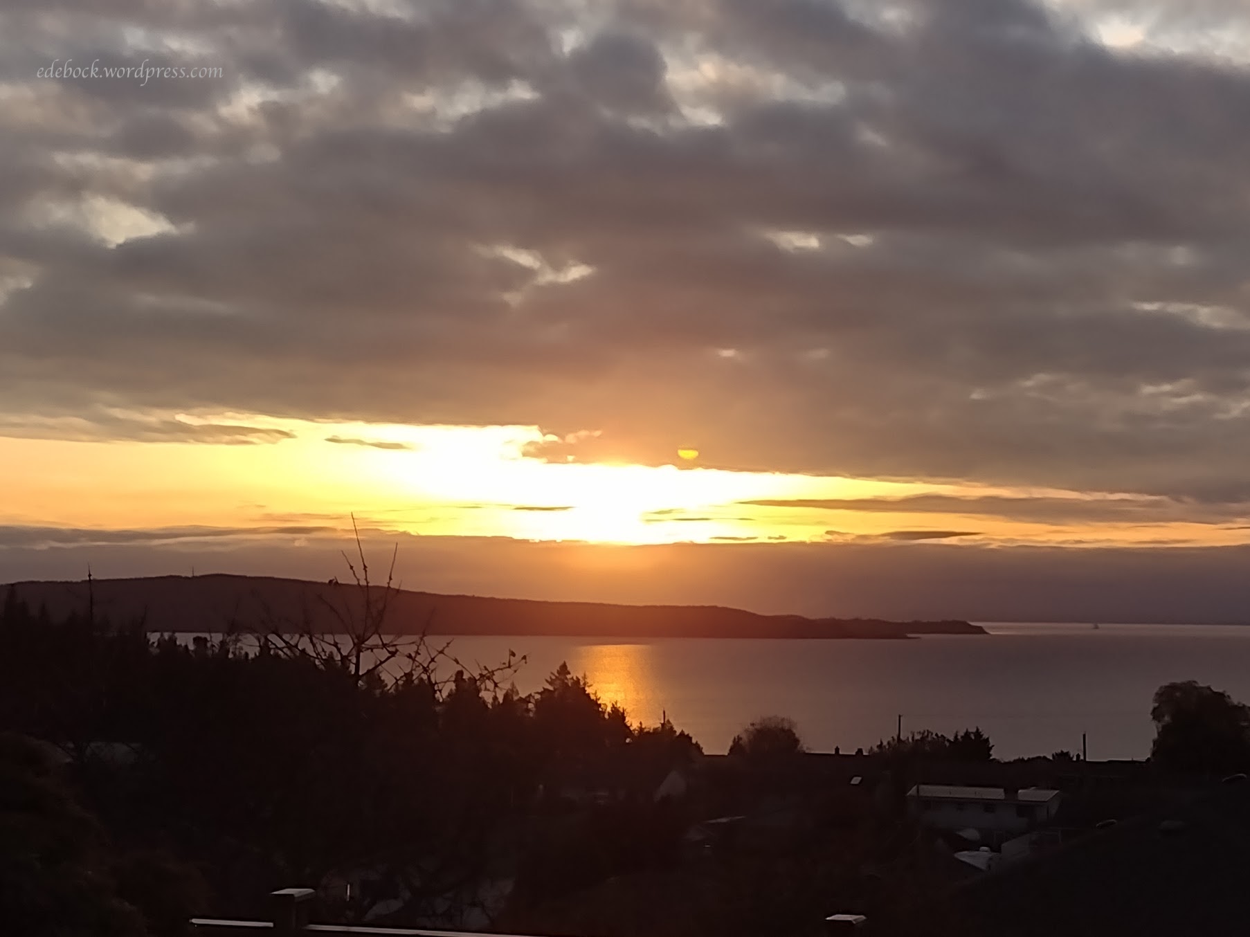 IMG_20241024_174930796